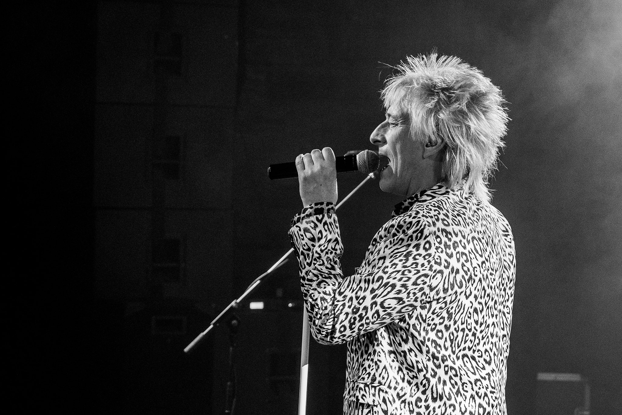 Rod and the Facez photo 11